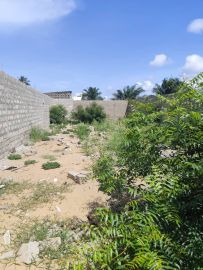Bearim bien immobilier