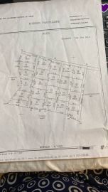 Bearim bien immobilier