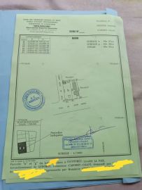Bearim bien immobilier